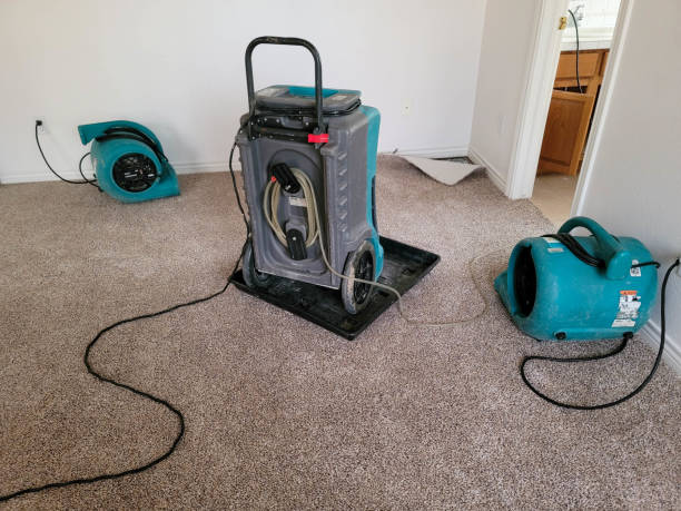 Best Flooded house restoration  in Big Coppitt Key, FL