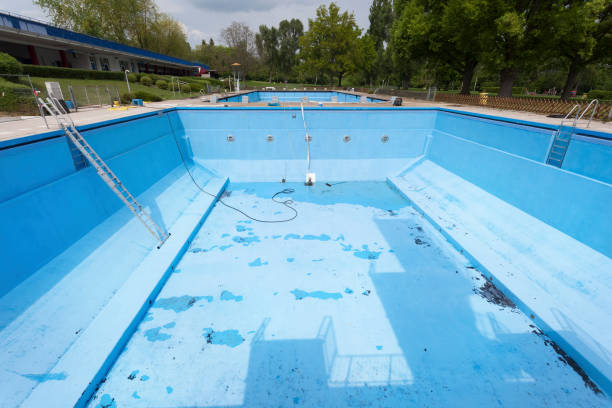 Best Professional water damage repair  in Big Coppitt Key, FL