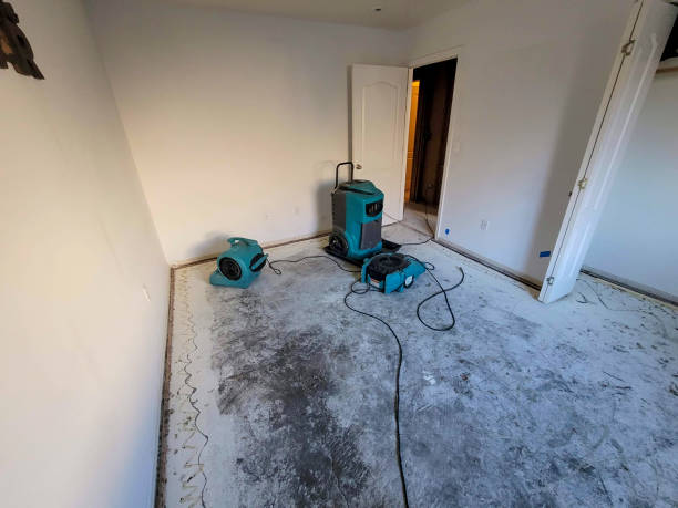 Best Local water damage restoration  in Big Coppitt Key, FL