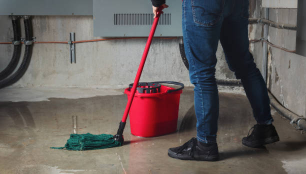 Best Emergency water damage restoration  in Big Coppitt Key, FL