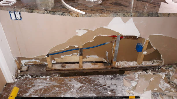 Carpet water damage restoration in Big Coppitt Key, FL
