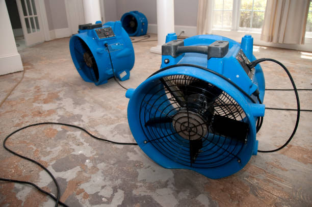 Best Water damage restoration near me  in Big Coppitt Key, FL