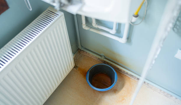 Best 24/7 water damage repair  in Big Coppitt Key, FL