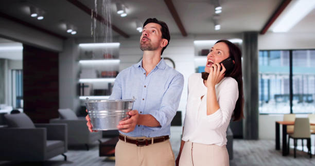 Best Flood damage cleanup  in Big Coppitt Key, FL